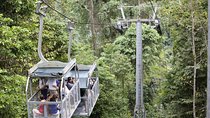 Veragua Rainforest Eco-Adventure & Aerial Tram Experience