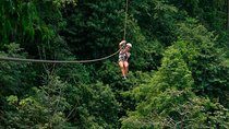 Crocodiles Safari & Zipline adventure - Private Sightseeing Tours