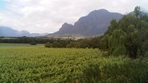 Private Cape Winelands Tour from Cape Town