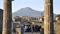 Best Pompeii Private Tour from Naples Port or Hotel Pick Up