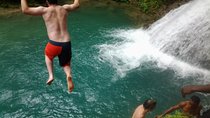 Blue Hole, Dunn's River Falls Luminous Lagoon Excursion From Montego Bay