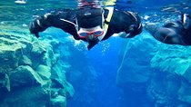 Snorkeling Tours from Safaga Port
