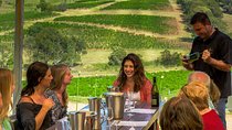 Private Luxury Tour: Tastes of the Hunter Valley