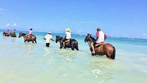 Secret Falls, Blue Hole, and Horseback Riding from Ocho Rios
