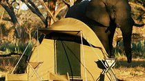 Chobe Camping 1day & 1night