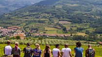 Full-Day Tuscan Countryside Bike Tour