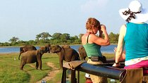 VALUE PACK! One Day Safari Tour to Yala and Udawalawa Parks