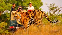  Private Golden Triangle Delhi Agra Jaipur with Ranthambore
