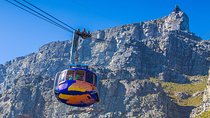 Cape Town Private Tour: Table Mountain Car & Cape Point Penguins