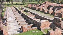 Guided Tour of Ancient Ostia from Fiumicino Airport with Private Van Pickup