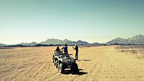 sharm safari desert tour
