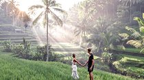 Ubud Scenery Bali Private Tour