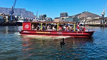 Cape Town 30-minute V&A Harbour Cruise
