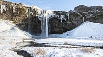 Winter South Coast Day Tour by Minibus from Reykjavik