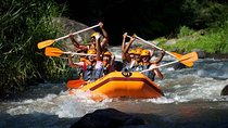 Bali Rafting, Ubud, and Jimbaran Day Tour