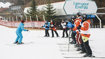 Private 1:1 Ski Lesson near Seoul, South Korea