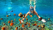Utopia Island Snorkeling Trip in Hurghada
