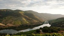 Our magnificent Douro Valley