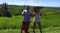 UNESCO Rice Terraces Walk with Tour Guide by Agus Bali Private Tour