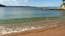  Small-Group Sydney's Northern Beaches & Ku-ring-gai Park Tour