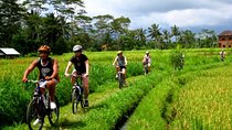 Bali Kintamani Cycling Tour with Transport Service