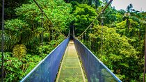 Arenal Hanging Bridges and La Fortuna Waterfall Nature Hike