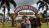 Private transportation from Montego Bay to Appleton Estate and YS Falls