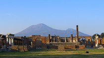 Private 6h Tour to Pompei and Ercolano with Port or Hotel pick-up