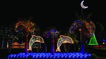 Holiday Festival of Lights Tour with Transport