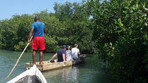 Cartagena canoe mangroves