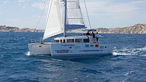 Private Catamaran trips to Lobos Island in Lagoon 400