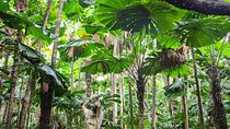 Cape Tribulation & Daintree Wilderness (TCT)