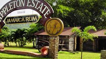 Private Appleton Estate Rum Tour & Tasting from Runaway Bay