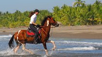 Personalized Beach Adventure Near Jaco
