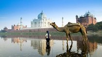 Private Taj Mahal Sunrise Tour from delhi by car All inclusive