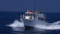 Kona Hawaii Fishing/Snorkel Large Group Private Charter on OE