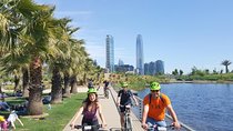 Panoramic Santiago Bike Tour