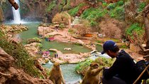 All exclusive, Day Trip to Ouzoud Waterfalls From Marrakech