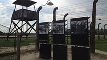 Krakow: Auschwitz-Birkenau & Salt Mine -private/shared transport 