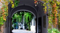 Hidden Gems in Vienna Inner City a Private Walking Tour