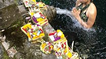  Ubud Temple Tour & Purification and Rice Terrace