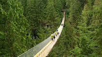 Vancouver and Capilano Park Private Tour