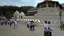 Private Day trip Kandy & pinnawala with your selected attractions