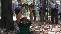 Private Cu Chi Tunnels Half-Day Tour