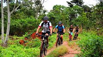 Lake Victoria Island Cycling Tour from Kampala