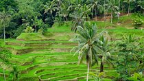 Private Ubud Tour with Hidden Waterfalls