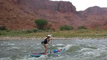 Splish and Splash: Stand Up Paddleboarding on the Colorado River