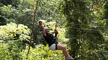 Treetop Adventure Park Canopy Tour
