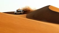 Dubai: Adventure Evening Desert Safari, Camel Ride, Shows & BBQ Dinner 