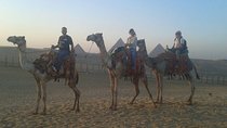 Half Day Tour Around Giza Pyramids By Camel